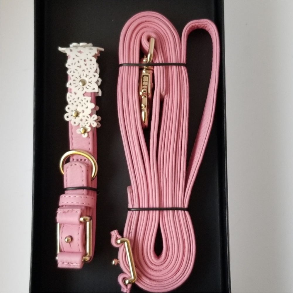 Oscar de la Renta dog collar and leash